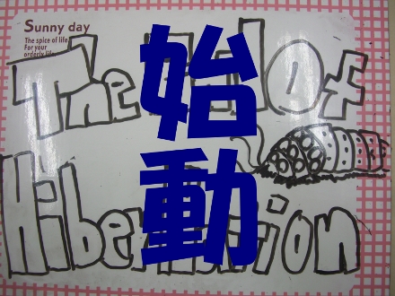 �n�C�o�l�n��!!